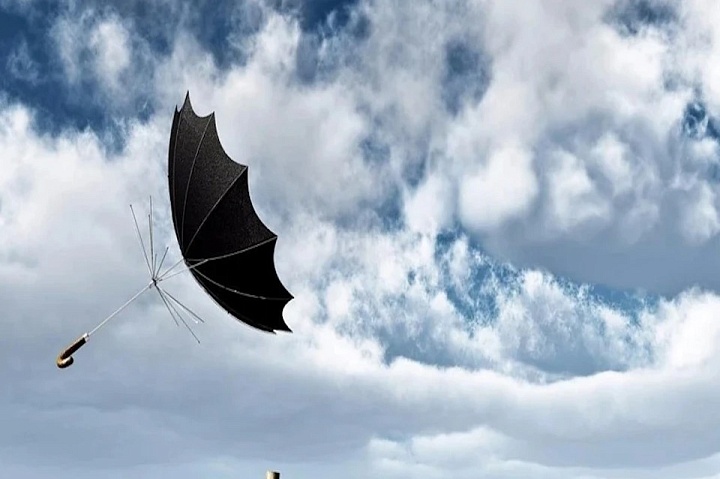 Парки Москвы закрыты из-за штормового ветра