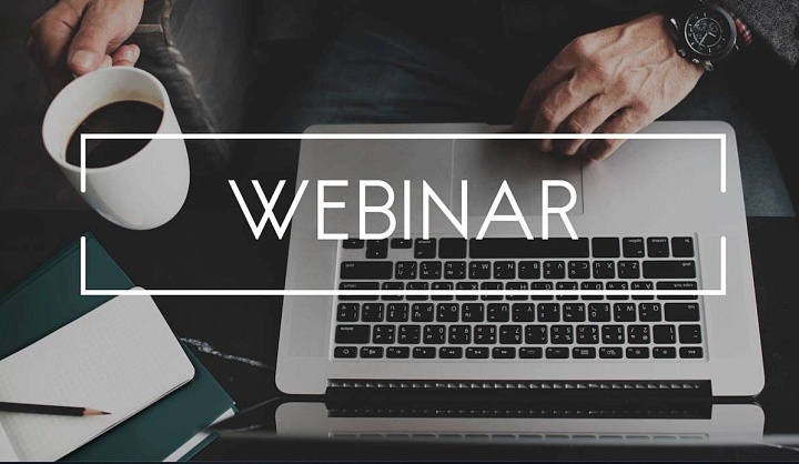 Елена Годовых: Вебинары для педагогов важны для обмена опытом