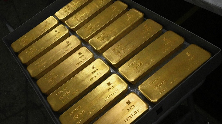 Путин отметил рост использования золотых слитков в расчетах