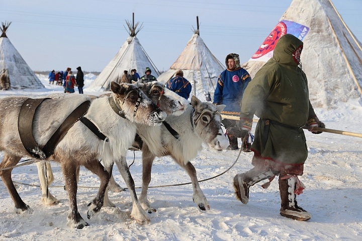 В День оленевода российским туристам стоит обязательно отправиться в ЯНАО