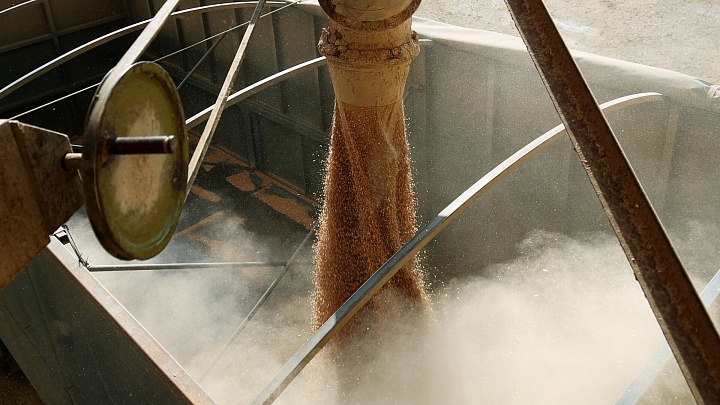 США стали вторым крупнейшим продавцом зерна в ЕС